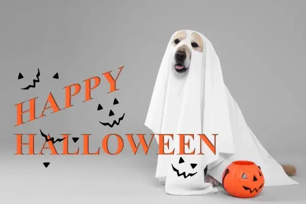 Happy Halloween from Western Ohio Mortgage Corporation